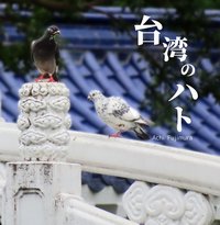 同人誌　台湾のハト　藤村阿智
