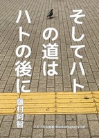 そしてハトの道はハトの後に