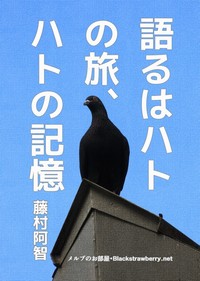 語るはハトの旅、ハトの記憶　藤村阿智