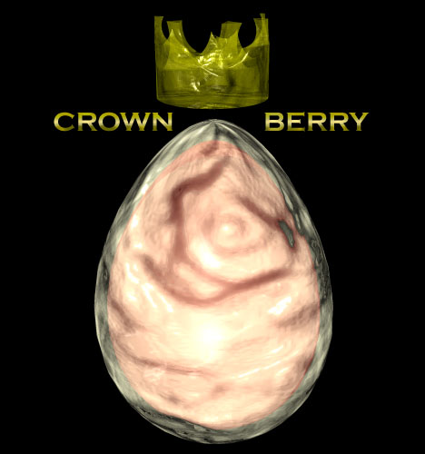 CROWNBERRY