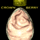 CROWNBERRY